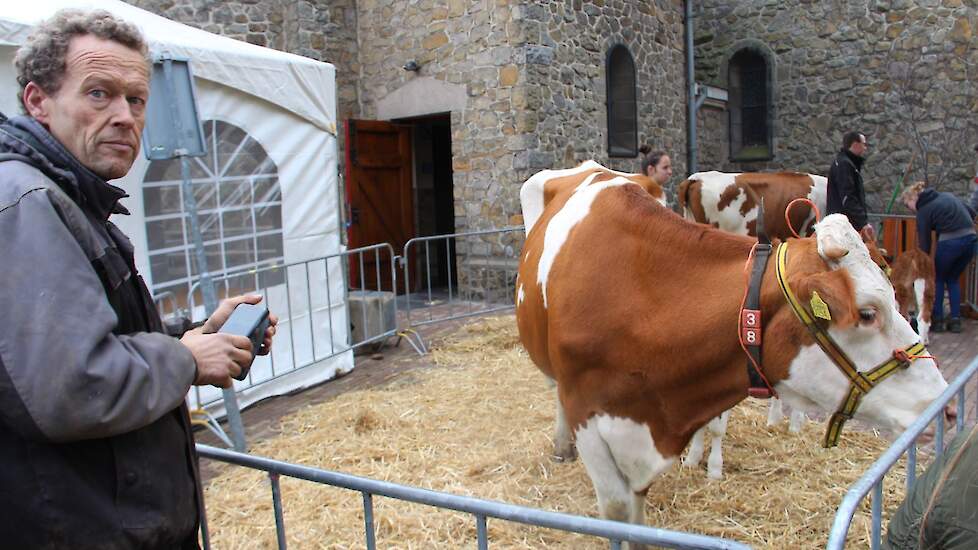 Melkveehouder Peter Erkens van de Stadsboerderij Heerlen toog met twee koeien en twee kalveren naar Gulpen.