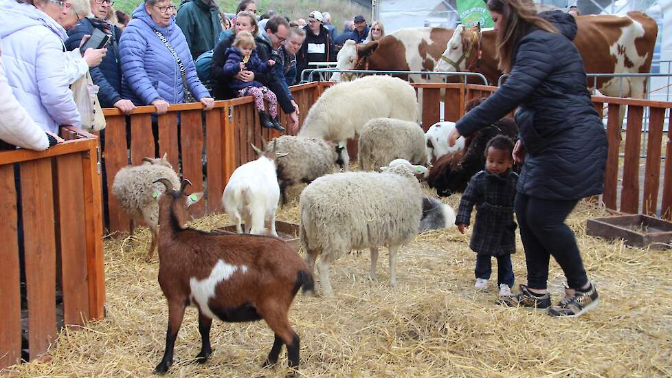 De mobiele kinderboerderij verkleint de afstand tussen dier en kind.