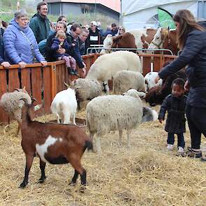 De mobiele kinderboerderij verkleint de afstand tussen dier en kind.