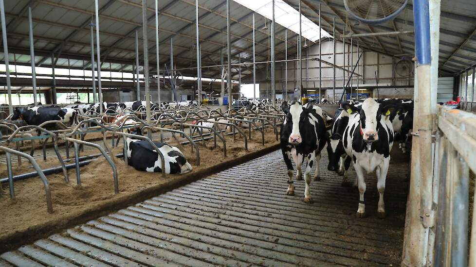 Een willekeurige emissiearme stal.