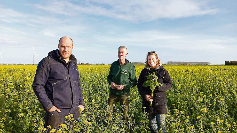 Bij Beiderwaen landbouw cv is de grond bijna jaarrond bedekt met gewassen en groenbemesters. V.l.n.r. Halewijn De Smet-Oosterhuis, Simon de Feyter en Marijke De Smet-Oosterhuis.