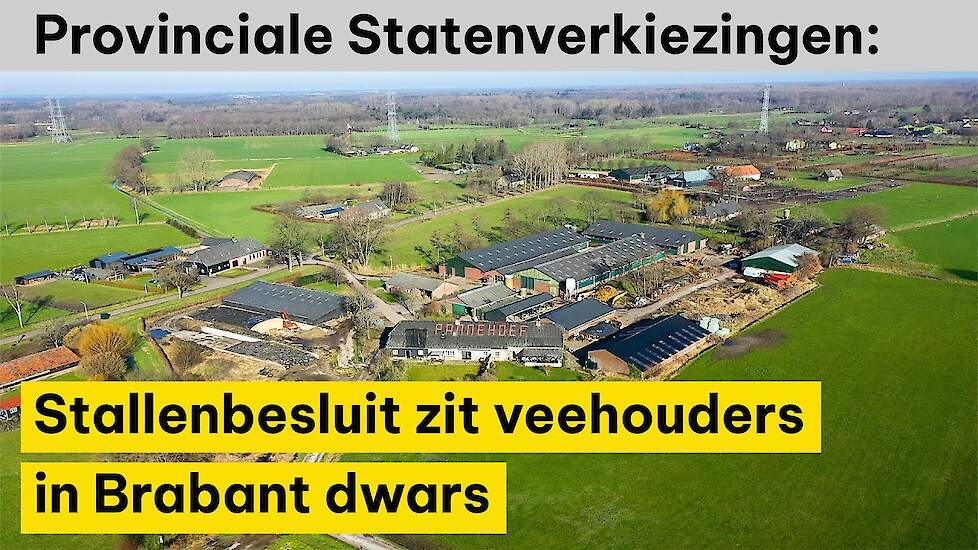 Provinciale Statenverkiezingen: Stallenbesluit zit veehouders in Brabant dwars