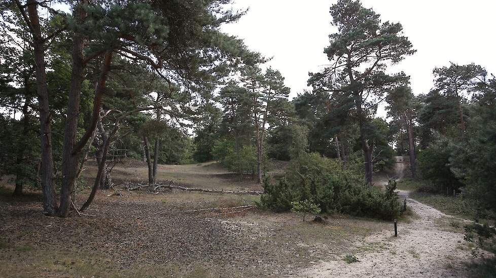 Een van de Limburgs Natura 2000-gebieden.