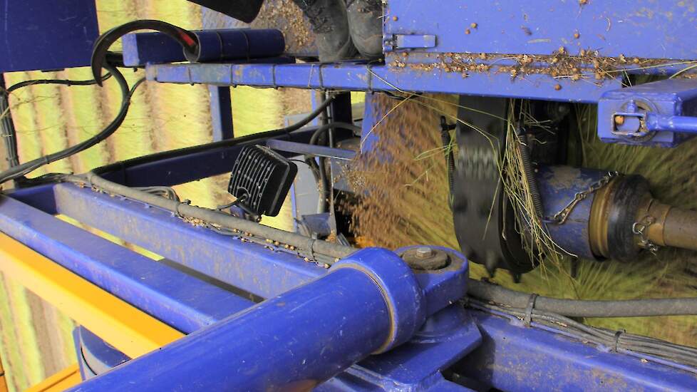 In de machine worden de vlasbolletjes van het stro gekamd en gedorst. Vervolgens wordt het stro in twee parallelle zwaden gelegd.