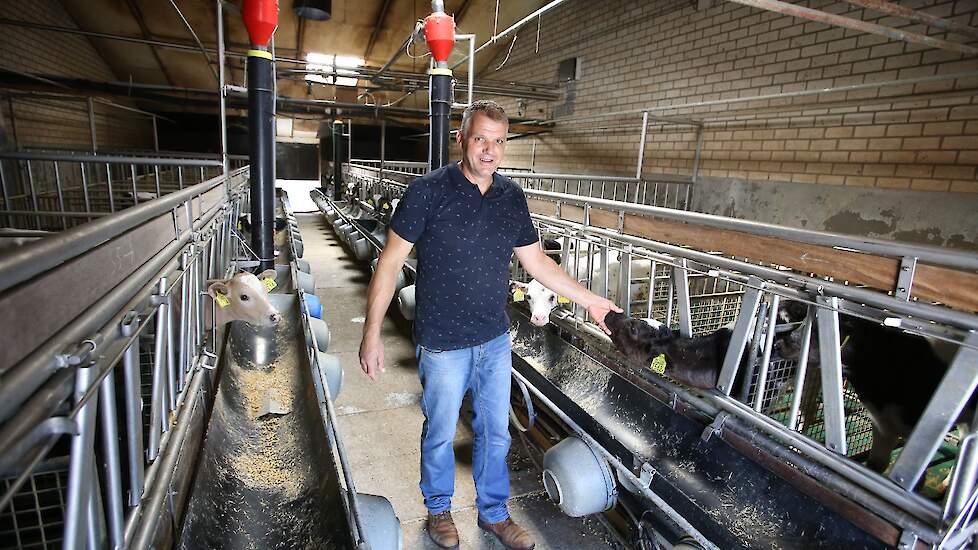 Stefan Thelosen in een van oudste stallen die hij wil vervangen door nieuwbouw met geperforeerde mestband, de vergunning is in 2019 al aangevraagd maar nog steeds in behandeling.