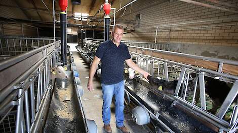 Stefan Thelosen in een van oudste stallen die hij wil vervangen door nieuwbouw met geperforeerde mestband, de vergunning is in 2019 al aangevraagd maar nog steeds in behandeling.