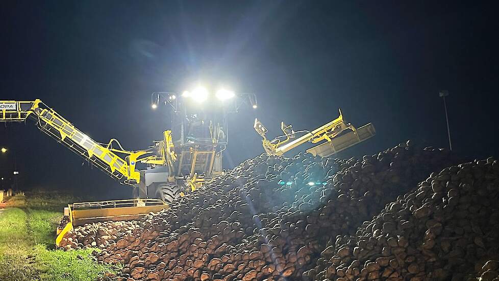 Video: Bietenmuis Ropa Maus 6 by Night in actie in Leuth