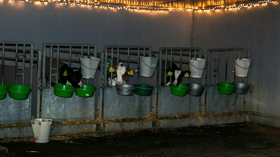 Over het erf langs de aardappelschuur, de kalfjes, melkstal, robot en over de kuilplaat weer de openbare weg op. Voor boeren heel gewoon, maar voor de burgers heel bijzonder.