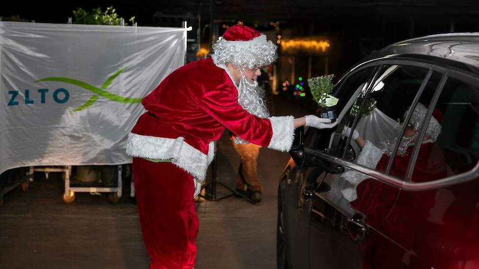 Van de kerstman kreeg elke auto een plantje mee.
