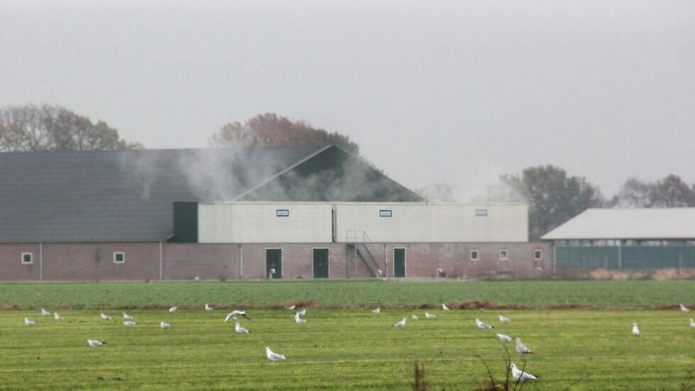 Een luchtwasser bij een varkensbedrijf ter illustratie.
