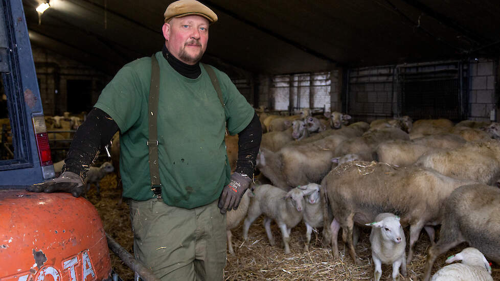 Schapenhouder John Sterrenburg kreeg te maken met blauwtong. De uitbraak kostte hem minimaal 30.000 euro.