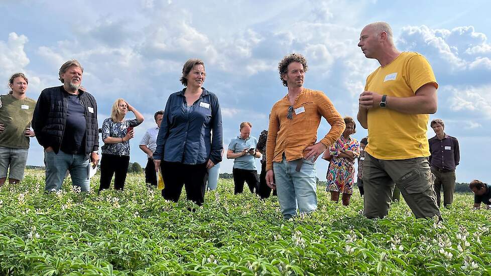 Telers en ketenpartners delen samen kennis en ervaring in bloeiend lupineveld.