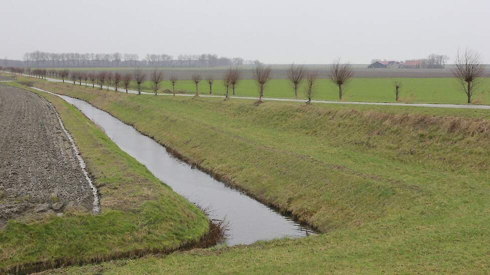 Beeld ter illustratie.