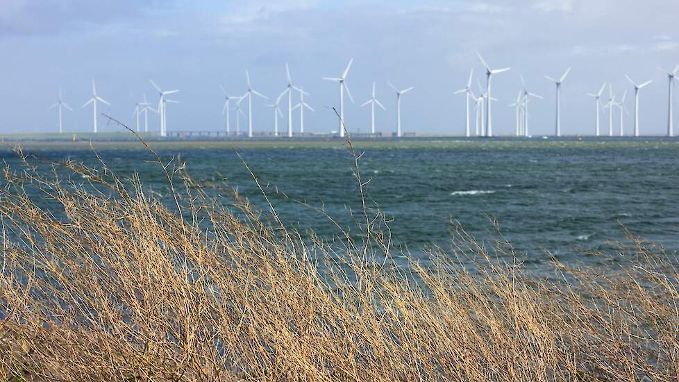 Foto ter illustratie.