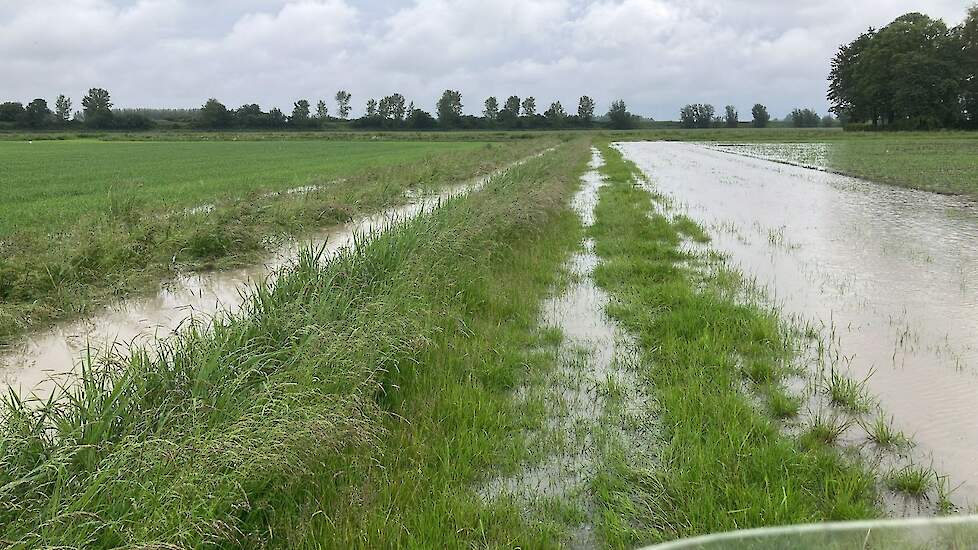 Hectares Brabantse polder blank: akkerbouwer doet werk waterschap