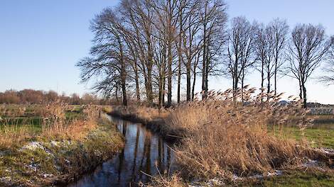 Beekdal in Sterksel (NB), archiefbeeld.