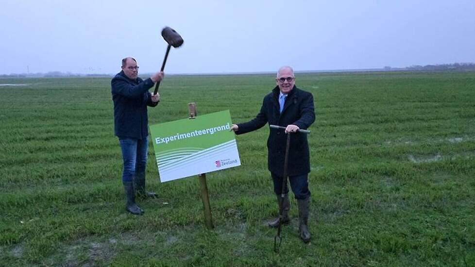 Gedeputeerden Arno Vael en Wilfried Nielen markeren een van de experimenteergrond-percelen.