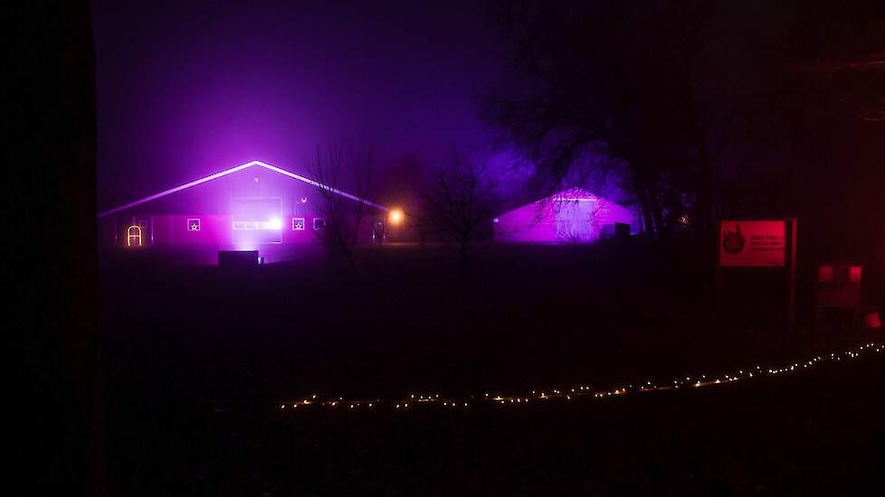Een uitgelicht bedrijf met veel kleurrijke verlichting die van veraf al was te zien.