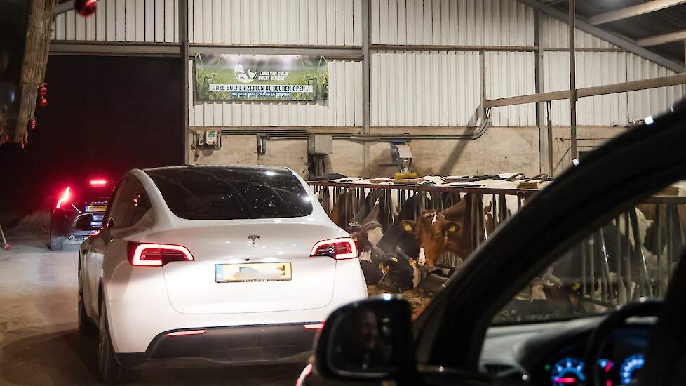 Bij familie De Klein in Langenboom reden auto’s letterlijk door de koeienstal, op enkele decimeters afstand van rustig etende koeien. „Echt een mooie beleving. Onze kleinkinderen vonden het fantastisch om die koeien van zo dichtbij te zien eten. En ik ook