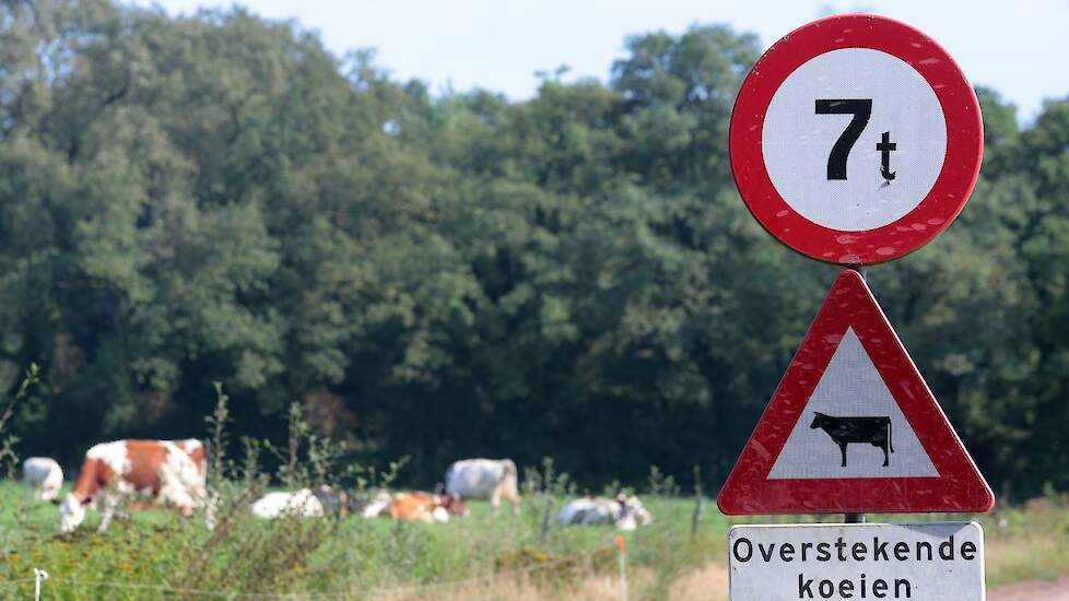 Beeld ter illustratie.