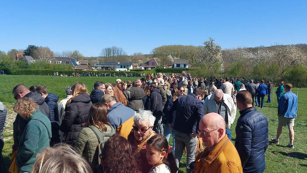 Reeds geruime tijd voorafgaand aan de eerste weidegang, stonden de bezoekers rijen dik rondom de huisweide te wachten.