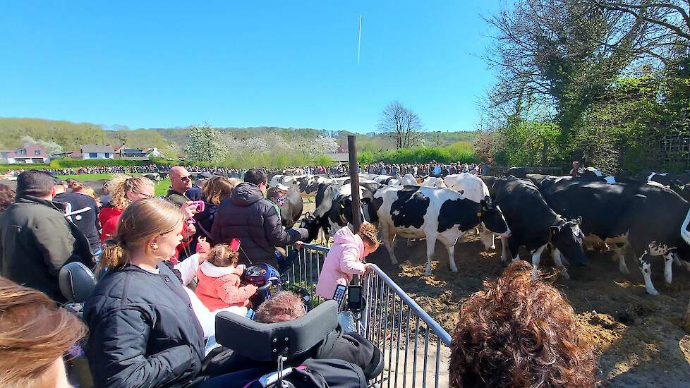 De Bourgonderie is onderdeel van Ptree Holstein, een melkveebedrijf in Geulle. Door hun bedrijf regelmatig open te stellen voor publiek, wil de familie Thijssen iedereen inzicht geven in het boerenleven en het moderne melkveebedrijf. Daarnaast beschikt hu