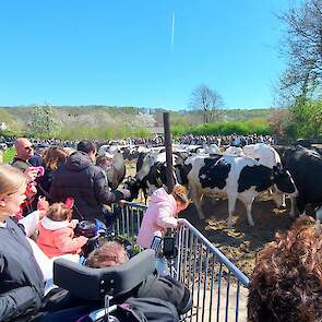 De Bourgonderie is onderdeel van Ptree Holstein, een melkveebedrijf in Geulle. Door hun bedrijf regelmatig open te stellen voor publiek, wil de familie Thijssen iedereen inzicht geven in het boerenleven en het moderne melkveebedrijf. Daarnaast beschikt hu