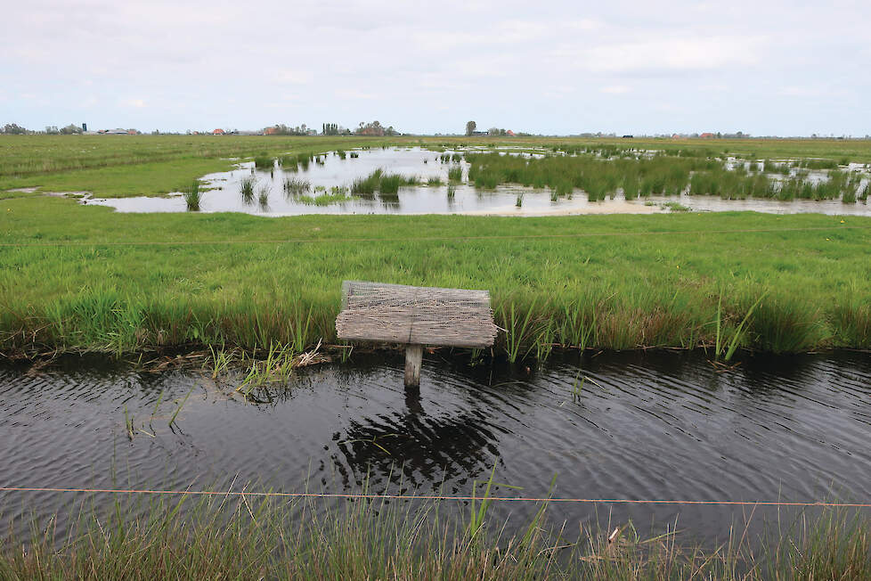 De plasdras-omstandigheden moeten minimaal 2 procent van het areaal bedragen.