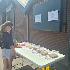 Kinderen en volwassenen leren al spelenderwijs over het rantsoen van de kalveren.