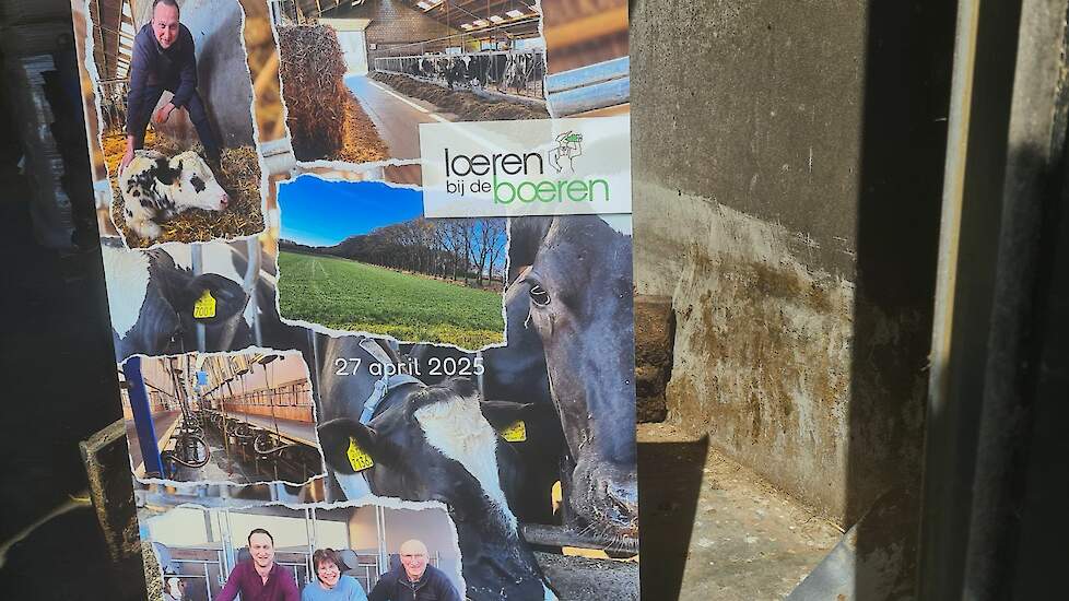 De familie Winkelmolen-Verstappen melkt 120 koeien op 40 hectare in Nederweert-Eind.