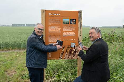 De wethouders Vervaet (Terneuzen) en Steijaart (Hulst) scannen symbolisch de qr-code.