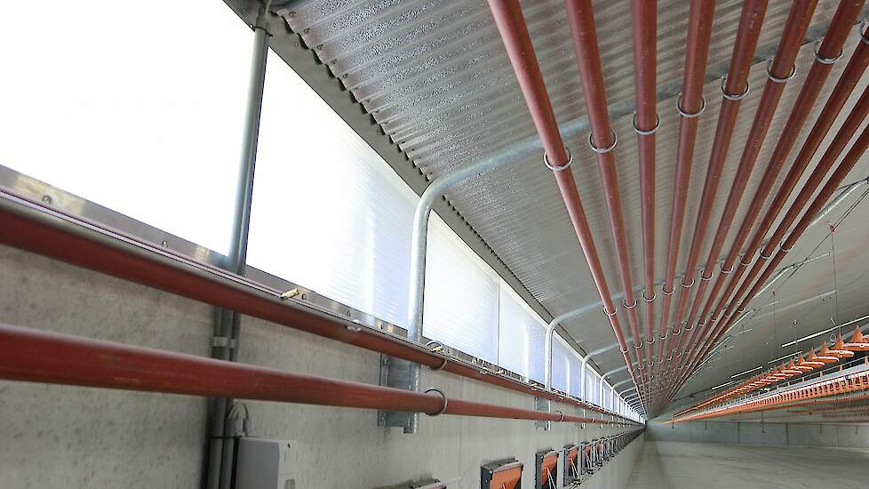 De vleeskuikenhouder past nu een verwarmingssysteem met (indirect gestookte) warmteheaters en ventilatoren toe (BWL 2009.14.V3) in zijn bestaande stal. Hij wil beide stallen voorzien van een buizenverwarming (foto) langs de zijkant van de stal voor drogin