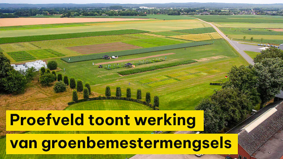Innovatiedemo ‘Een veerkrachtige bodem’ van DSV Zaden