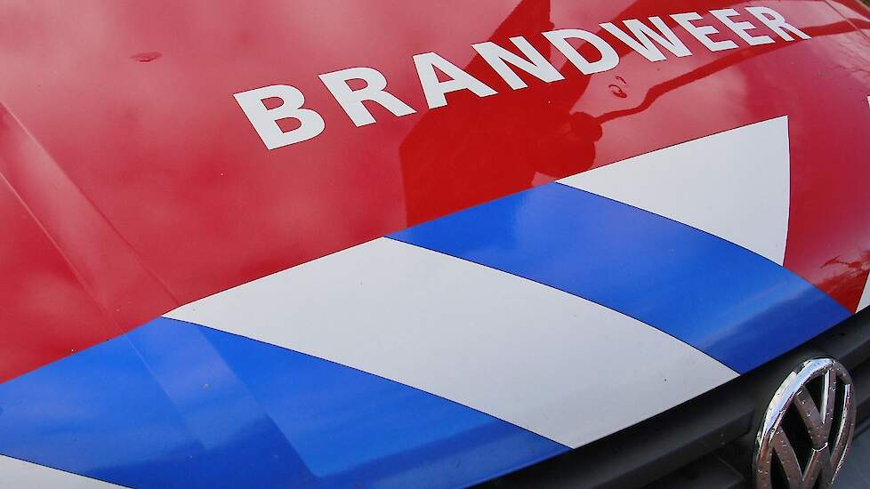 Brand doodt duizenden kippen in Vessem