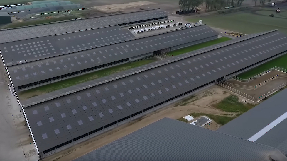 Rechtbank draait faillissement Vreba Melkvee terug