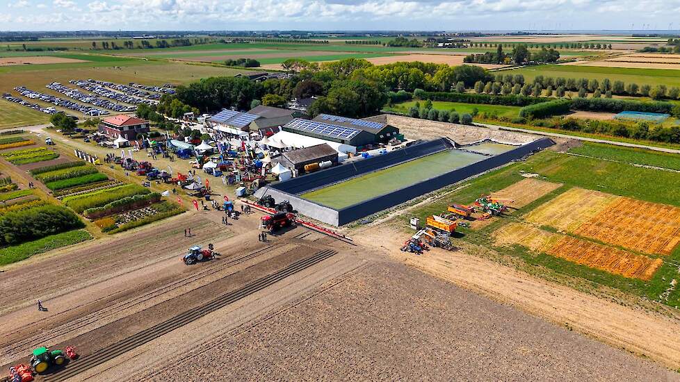 Video: Landelijke Uiendag toont oplossingen voor robuuste uienteelt