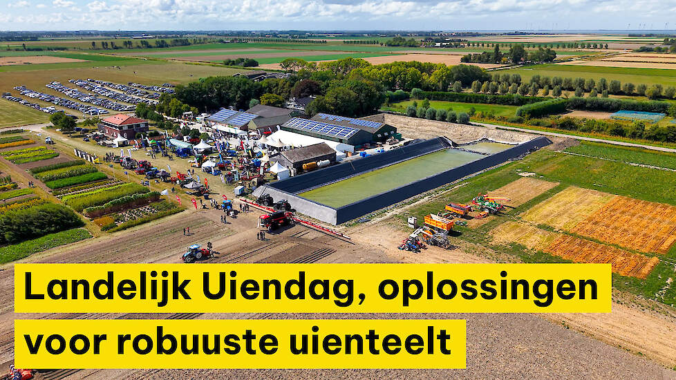 Van zoetwateropslag tot teeltsystemen, Landelijk Uiendag toont oplossingen voor robuuste uienteelt