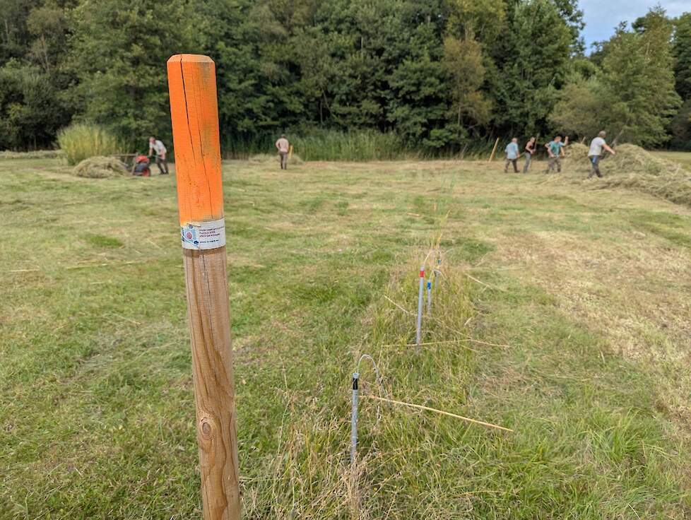 Meetopstelling in het kalkmoeras. Op de achtergrond vindt onderhoud door Staatsbosbeheer plaats.