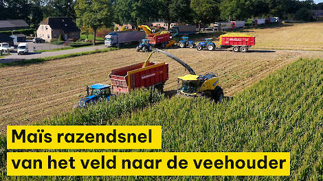 Maïs razendsnel van het veld naar de veehouder