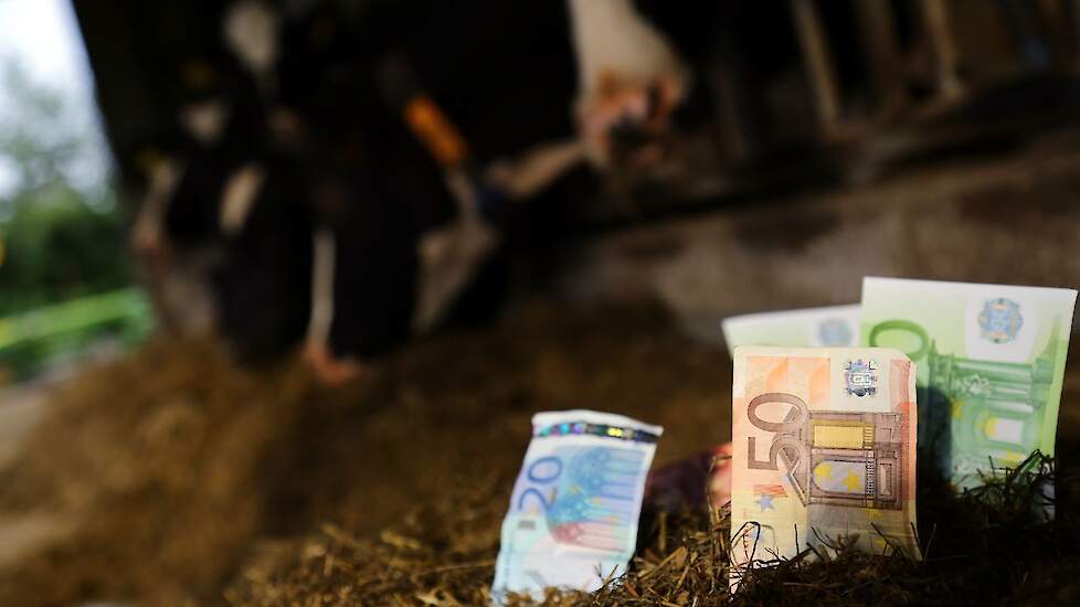 7 miljoen euro beschikbaar voor Zeeuwse regeling vrijwillige beëindiging veehouderijen