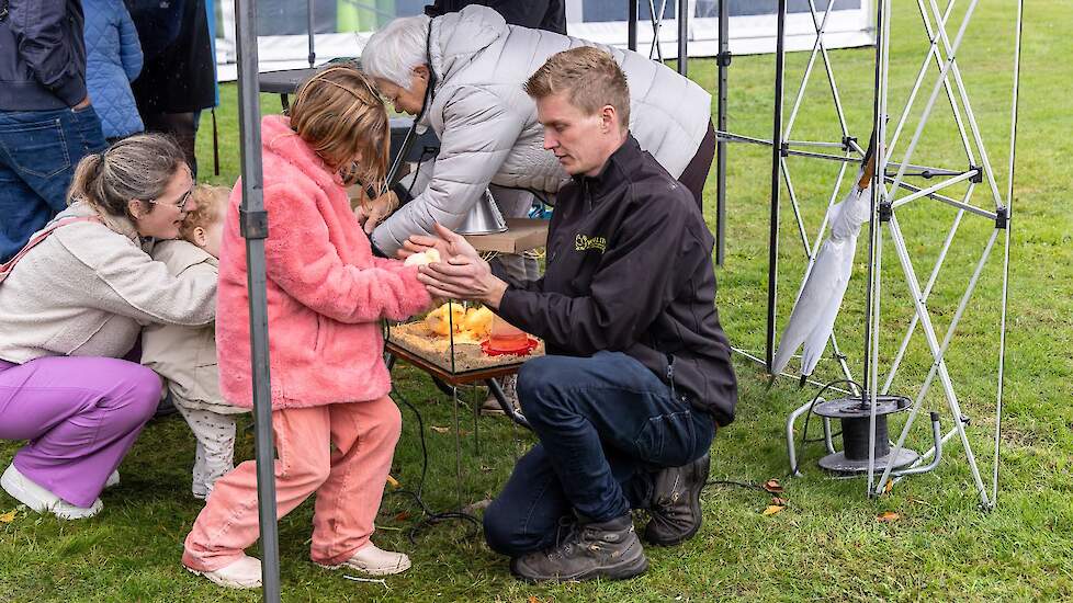 Kennismaken met dieren is ook heel bijzonder. De piepjonge kuikentjes hadden volop belangstelling. Vleeskuikenhouder Joost van Lith uit Mill genoot van het enthousiasme van de kinderen én ouders. „Vroeger kwam iedereen wel eens op een boerderij, tegenwoor