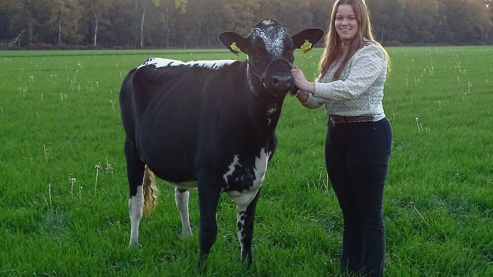Rian Engelen dagelijks met haar pink Roelina in de weer ter voorbereiding op de HHH-show