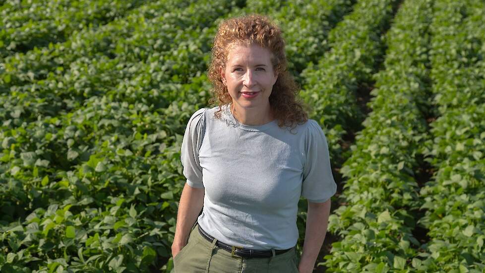 Groenteverwerker HAK past biologische ambitie aan: 'Vraag groeit minder hard dan verwacht'