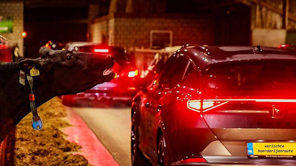 Dit jaar liep de autoroute maar liefst over negen erven en door stallen. Bij familie van den Oever in Westerbeek reden de auto’s door de koeienstal. „We hebben ontzettend genoten. Veel bezoekers riepen wat door het open raam. Het was geweldig om mee te do