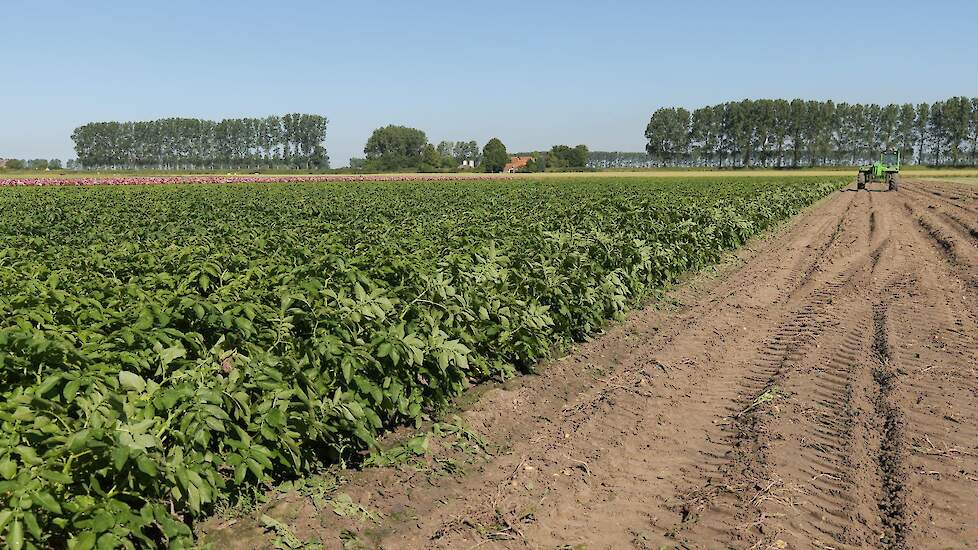 Zeeland, Zuid-Holland en Brabant gaan project Biodiversiteitsmonitor Akkerbouw Zuidwest Nederland aa