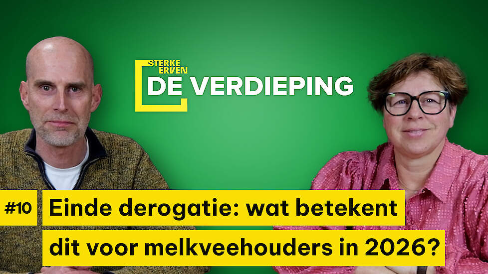 Einde derogatie: wat betekent  dit voor melkveehouders in 2026?