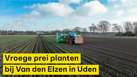 Brabantse preiteler is dagen eerder door planten vast te drukken in plaats van ponsgaten