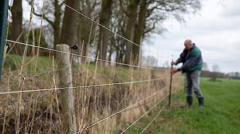 Een wolfwerend raster.