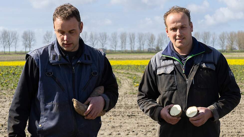 Wout en Aart van Oostrum doen mee aan Nationale Aardappelweek tegen verspilling van 500 miljoen kilo