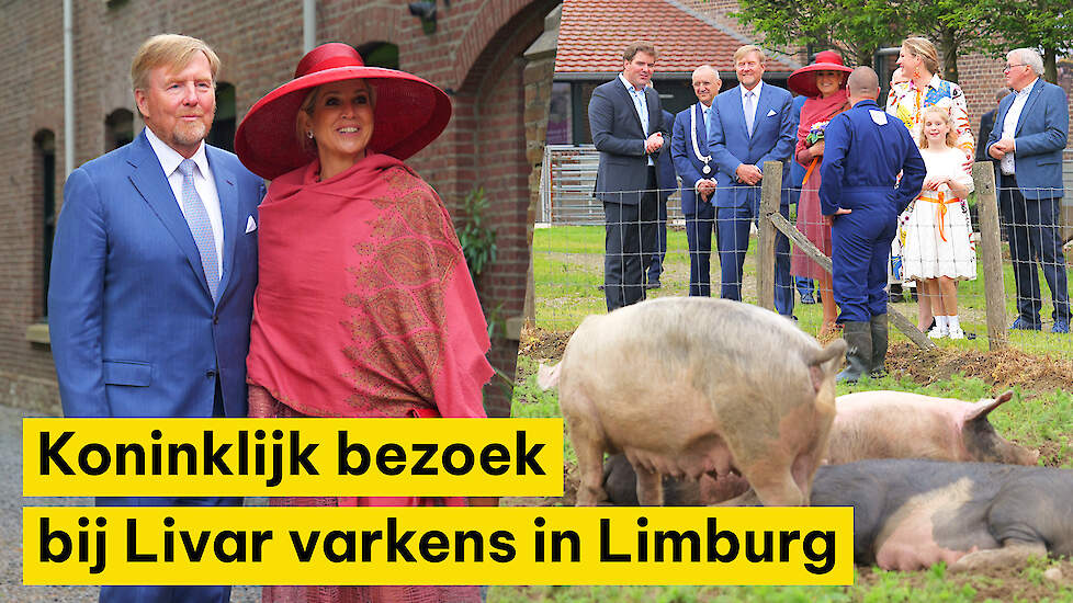 Koninklijk bezoek in Limburg: ‘Ze begrijpen heel goed met welke spanningen boeren te maken hebben’